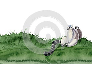 Lemur monkey with a cub sitting on grass watercolor banner illustration. Hand drawn funny Madagascar tropical animal