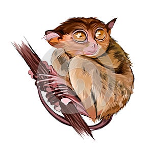 Lemur tarsier sitting on a branch from multicolored paints. Splash of watercolor, colorful drawing, realistic