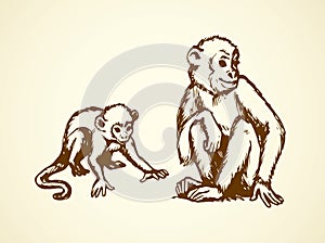 Lemur. Vector illustration