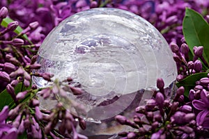 Lemurian Clear Quartz Sphere crystal magical orb surrounded by purple lilac flower.