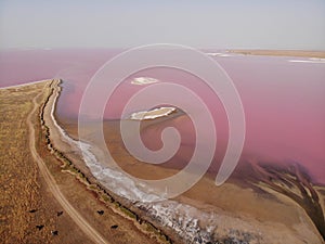 Pink Salt Lake photo