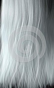 Length Of Hair