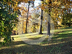 Lengthening Shadows on a Kentucky Hillside