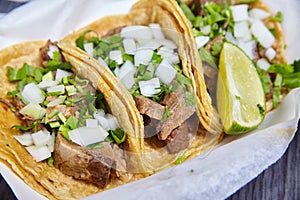 Lengua chow beef tongue 3 street tacos Mexican with cilantro, lime wedge, and onions photo