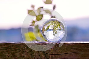 Lens ball in nature photo