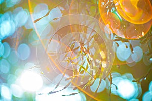 lens flare effect, rainbow reflection, green leaf background. soft focus