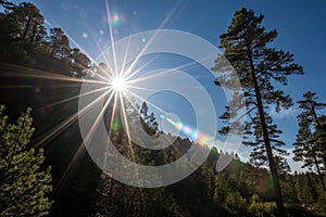 Lens flare effects with sunburst on black background photo