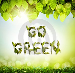 Lens flare, go green and leaves for sustainability, eco friendly and gradient background. Plants, plants and poster for