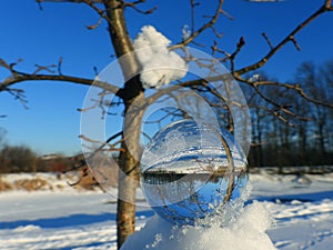 Lensball snow and tree