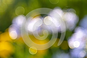 Lensflares, blurred bokeh lights for webdesign, backgrounds, compositions and overlays