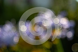 lensflares, blurred bokeh lights for webdesign, backgrounds, compositions and overlays