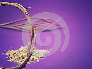 Lent Season, Holy Week, Ash Wednesday, Palm Sunday and Good Friday concepts. Close up crown of thorns in purple background.