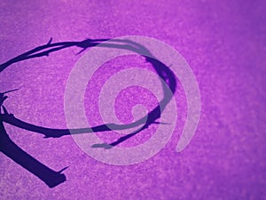 Lent Season, Holy Week, Ash Wednesday, Palm Sunday and Good Friday concepts. Crown of thorns in silhouette on purple background.