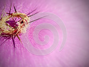 Lent Season,Holy Week and Good Friday concepts - image of bloody crown of thorns in purple vintage background