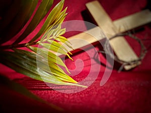 Lent Season,Holy Week and Good Friday concepts - image of palm leaf in red vintage background. Stock photo.