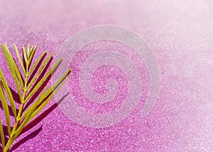 Lent Season,Holy Week and Good Friday concepts - image of palm leave in purple vintage background
