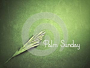 Lent Season,Holy Week and Good Friday Concepts - Palm Sunday text with green vintage background. Stock photo. photo