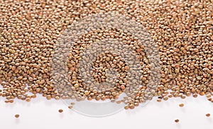 Lentil seeds on white surface