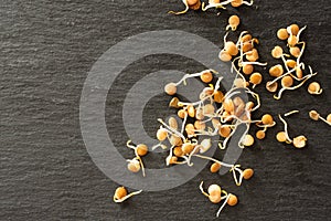 Lentil sprouts on grey stone