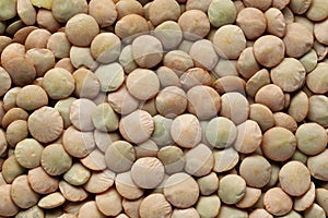 lentil top view background, lentil seeds close up