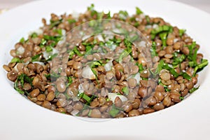 Lentille salade maison