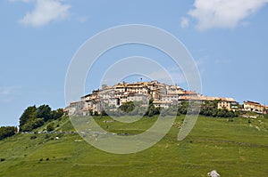 Lentils blooms in Castelluccio. Monti Sibillini. Perugia, Umbria, Italy