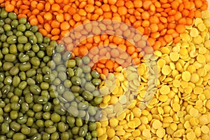 Lentils and green mung beans