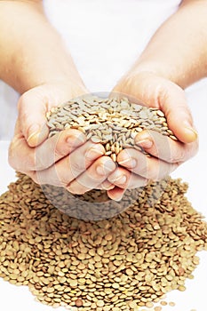 Lentils with hands.