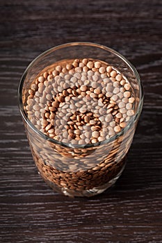 lentils soaked in a glass to germinate