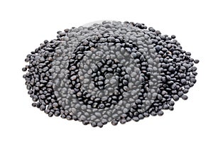 Lentin beluga. Black Lentins.Isolated on the white background.