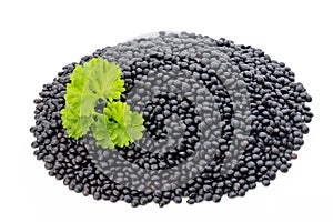 Lentin beluga. Black Lentins.Isolated on the white background.