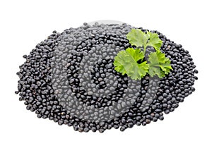 Lentin beluga. Black Lentins.Isolated on the white background.