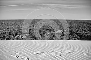 LenÃÂ§ois Maranhenses, Barreirinhas, MaranhÃÂ£o, Brazil - dunes, mangrove, forest and blue sky photo