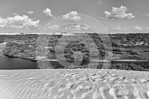 LenÃÂ§ois Maranhenses, Barreirinhas, MaranhÃÂ£o, Brazil - dunes, mangrove, forest and blue sky photo