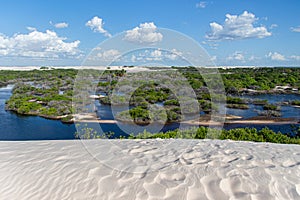 LenÃÂ§ois Maranhenses, Barreirinhas, MaranhÃÂ£o, Brazil - dunes, mangrove, forest and blue sky photo