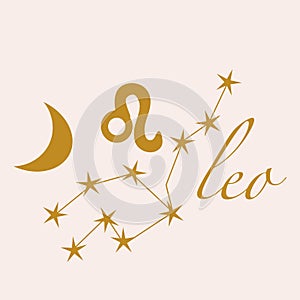 Leo vector illustration