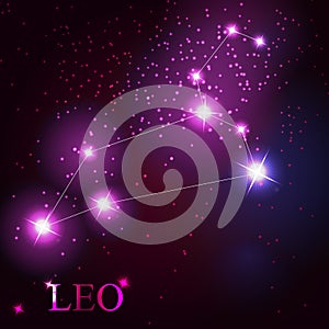 Leo zodiac sign of the beautiful bright stars