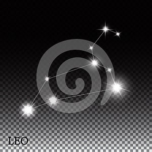 Leo Zodiac Sign of the Beautiful Bright Stars