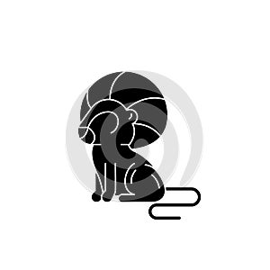 Leo zodiac sign black icon, vector sign on isolated background. Leo zodiac sign concept symbol, illustration