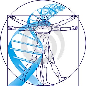 Leonardo da Vinci man and DNA