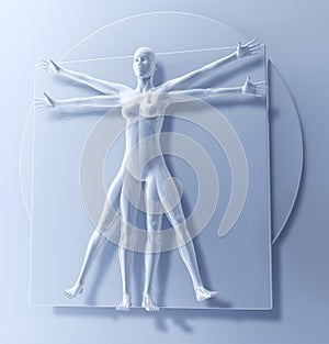 Leonardo Da Vinci's Vitruvian Man as a Woman, Quadratus photo