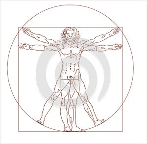 Leonardo da Vinci`s vitruvian man in vector