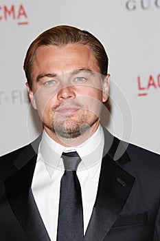 Leonardo DiCaprio