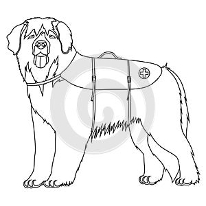 Leonberger lifesaver dog outline