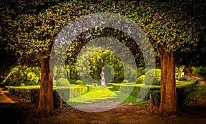 The Leonini Gardens, Tuscany photo