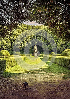 The Leonini Gardens, Tuscany photo