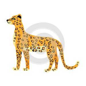 Leopard animal predator carnivores, cute character, trendy print. Vector illustration cartoon hand drawn