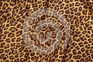 Leopard background texture safari pattern leopard print fabric material dark design