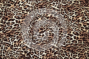 Leopard background texture safari pattern leopard print fabric material design.