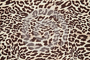 Leopard background texture safari pattern leopard print fabric material design.